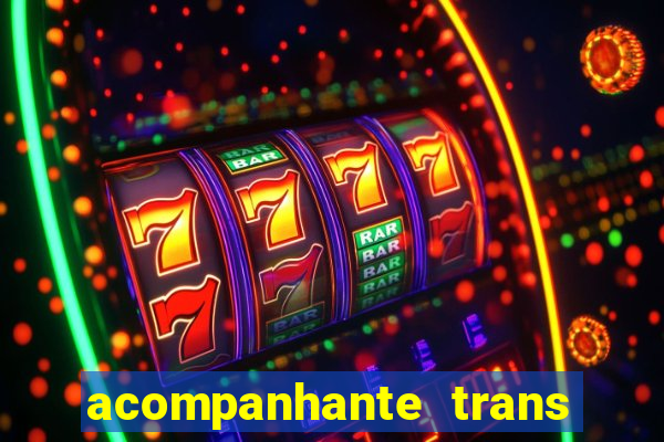 acompanhante trans porto seguro